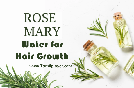 Natural Rosemary Water for Hair Growth | Make Rosemary Water 2025 | முடி வளர்ச்சிக்கு இயற்கை ரோஸ்மேரி நீர்? rosemary water for hair growth | tamilplayer.com