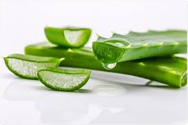 Aloe Vera - Home Remedies for Glowing Skin